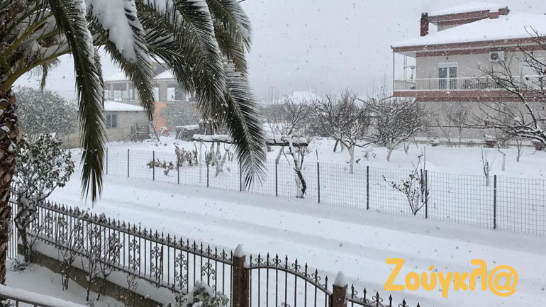 Μισό μέτρο χιόνι στο Καλλίθηρο Καρδίτσας