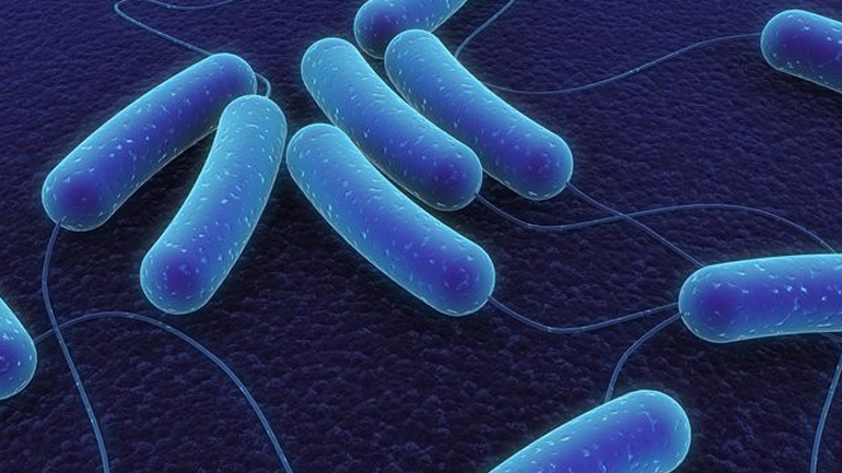 Η σύφιλη έχει σχεδόν εξαλειφθεί. Μοναδική εξαίρεση η Αφρική