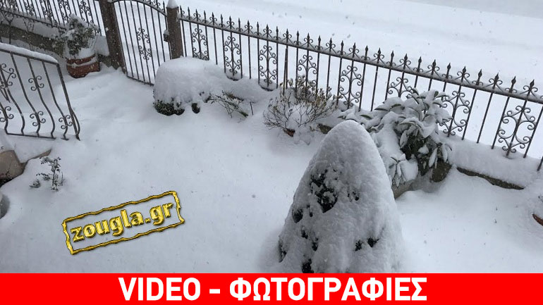 Στα λευκά η περιοχή Καλλίθηρο Καρδίτσας