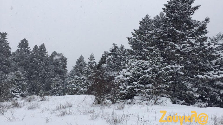 Τα χιόνια στην Αράχωβα παραμένουν…