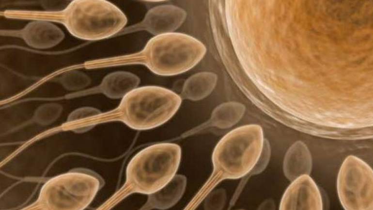 Το υγιές σπέρμα δεν είναι δεδομένο. Πώς μπορεί ο άνδρας να βελτιώσει τη γονιμότητά του;