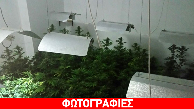 Εργαστήρι… κάνναβης σε σπίτι στην Πρέβεζα – Δύο συλλήψεις