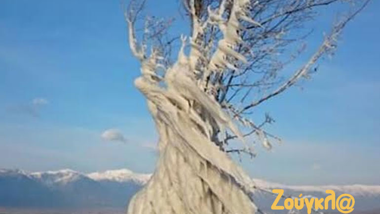 Το δέντρο πάγωσε στη Λίμνη Δοϊράνη