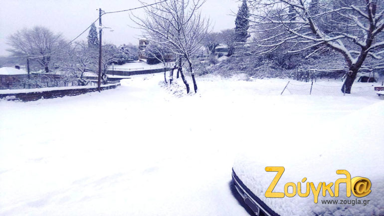 Ριζό Ιωαννίνων: Ένα μικρό αλλά μοναδικό χωριουδάκι