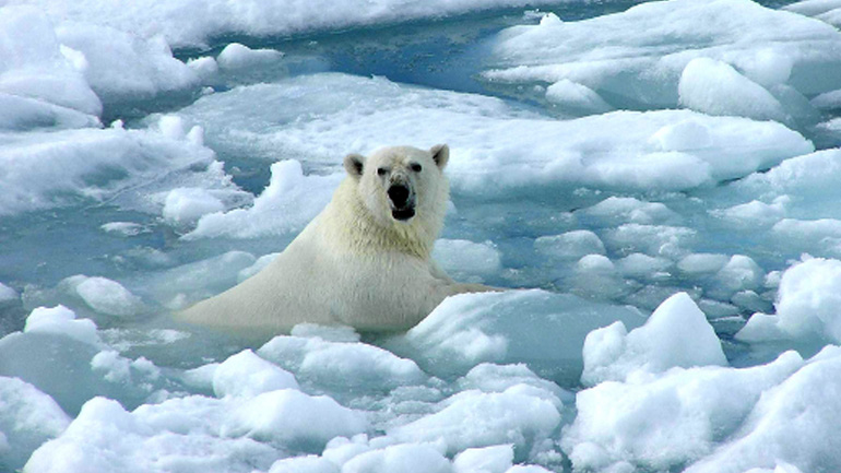 Νέο αρνητικό ρεκόρ για το λιώσιμο των πάγων