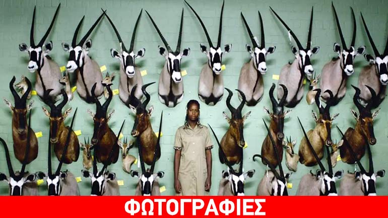 19ο Φεστιβάλ Ντοκιμαντέρ Θεσσαλονίκης: Ας μιλήσουμε για Ντοκιμαντέρ – Μια πρώτη γεύση