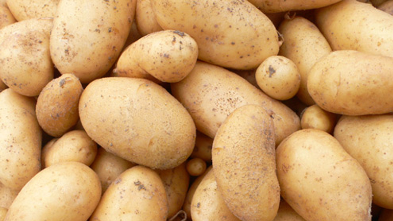 Πάγωσαν 2.500 τόνοι πατάτας στην Καστανιά Σερβίων