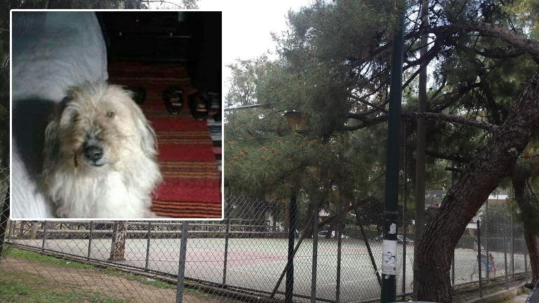 Χάθηκε η Ήρα από το Χαλάνδρι