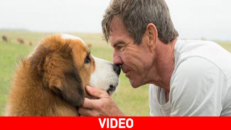 Προσεχώς: Ο Καλύτερος Φίλος Μου – H συγκινητική στορία ενός αφοσιωμένου σκύλου