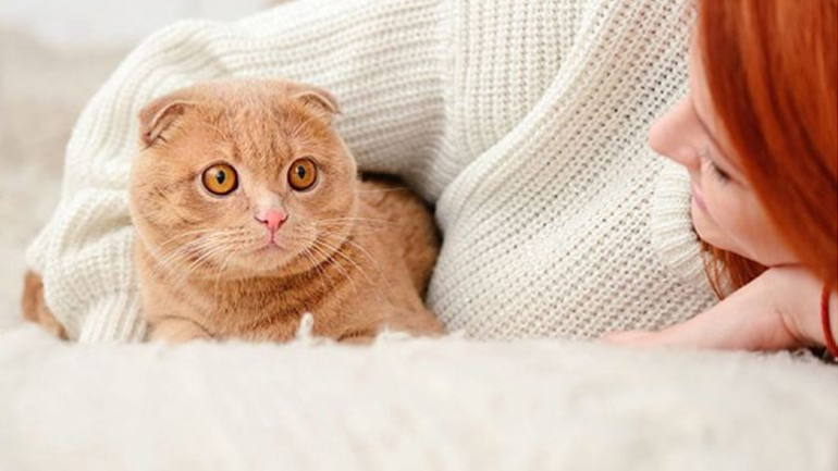 Έρευνα: Από ποια νόσο κινδυνεύουν όσοι έχουν γάτα