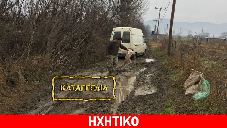 Εγκατάλειψη στην Κωπαΐδα: Αδιάβατοι δρόμοι και διακοπές του ηλεκτρικού ρεύματος λόγω κλοπών