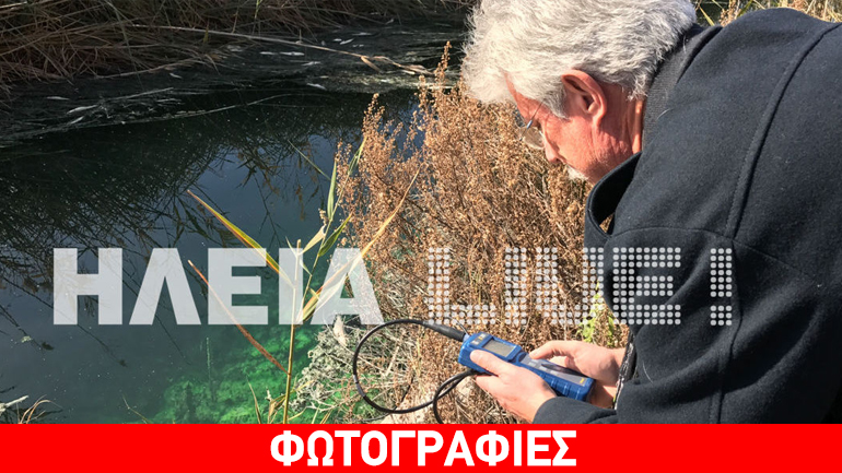 Λίμνη Καϊάφα: Λόγω ασφυξίας ο θάνατος των ψαριών