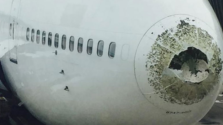 Βρέθηκε κοκαϊνη κρυμμένη στο ρύγχος αεροσκάφους