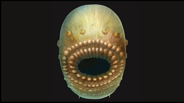 Ανακαλύφθηκε ο αρχαιότερος γνωστός πρόγονος του ανθρώπου ηλικίας 540 εκατ. ετών!