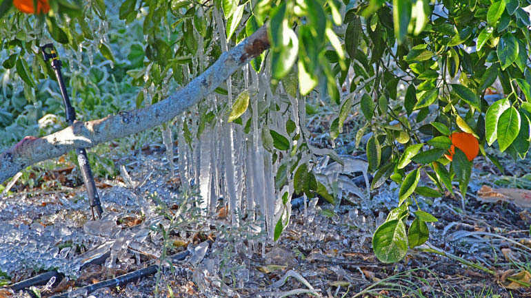 Η Τράπεζα Πειραιώς στηρίζει τους αγρότες που επλήγησαν από το πρόσφατο κύμα κακοκαιρίας