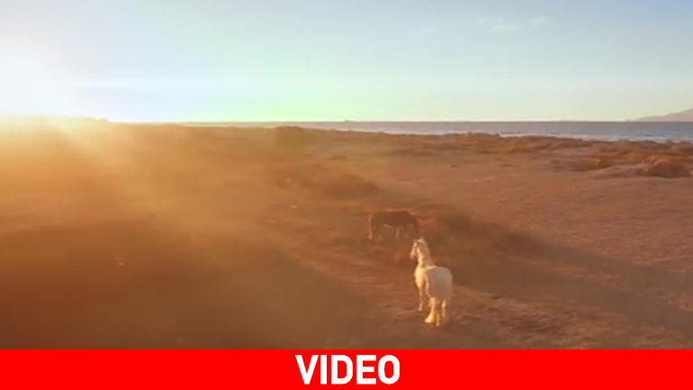 Salt Lake: Ένα εκπληκτικό βίντεο για την ομορφιά των Αλυκών στην Κω