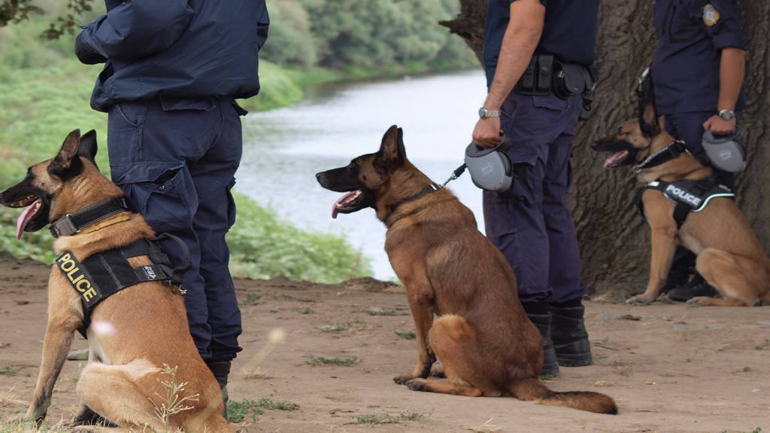 Spiegel: Επιστρατεύονται Γερμανοί αστυνομικοί για τη φύλαξη των βόρειων ελληνικών συνόρων