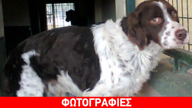 Δώστε μια ευκαιρία στον ταλαιπωρημένο Μπεν