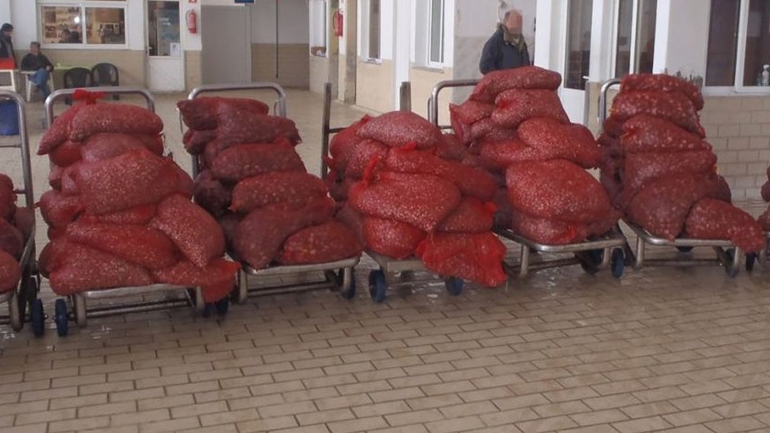 Αλεξανδρούπολη: Συλλήψεις και κατάσχεση 3 τόνων ακατάλληλων οστράκων