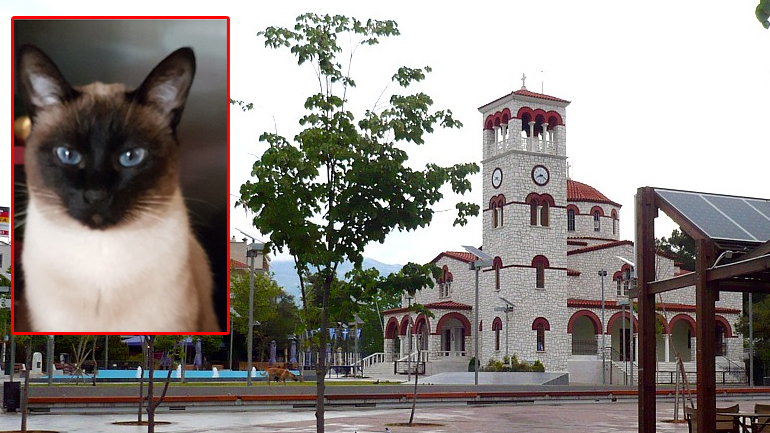 Μήπως είδατε τη Μούσια;