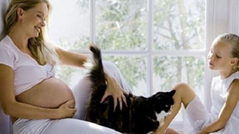 Μύθοι και αλήθειες για την εγκυμοσύνη – Μάθε τι πραγματικά ισχύει