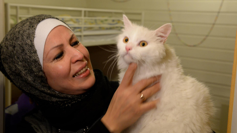 Το ταξίδι ενός γάτου… πρόσφυγα από τη Λέσβο στη Νορβηγία για να βρει την οικογένειά του