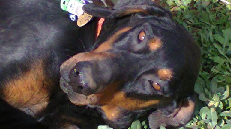 Ο Άρης ψάχνει μία οικογένεια που θα μπορέσει να του προσφέρει αγάπη