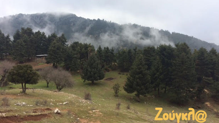 Ένα σαββατιάτικο πρωϊνό στο Λεόντιο Αχαΐας