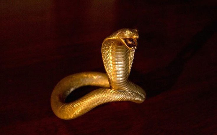 Χρυσό δαχτυλίδι για το πέος - 118.764 ευρώ