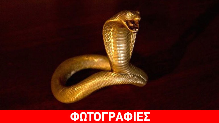 Αυτά τα sex toys είναι τα ακριβότερα στον κόσμο