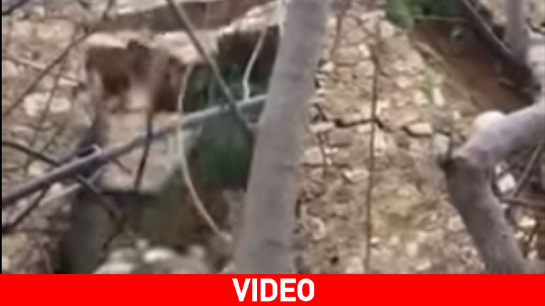 Κρήτη: Kαρέ-καρέ η κατάρρευση τμήματος βενετσιάνικου κτηρίου