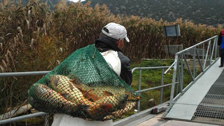 Συλλήψεις για παράνομη αλιεία στη Μ. Πρέσπα