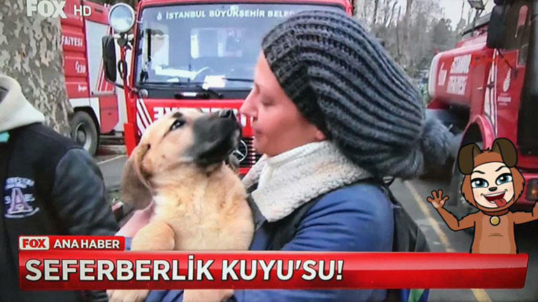 Η διάσωση ενός κουταβιού από πηγάδι στην Κωνσταντινούπολη