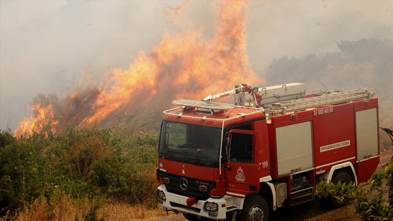 Δασική πυρκαγιά εν μέσω βαρυχειμωνιάς στην Ηλεία