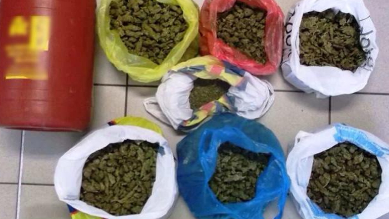 Καλαμάτα: Το πατάρι έκρυβε… κάνναβη