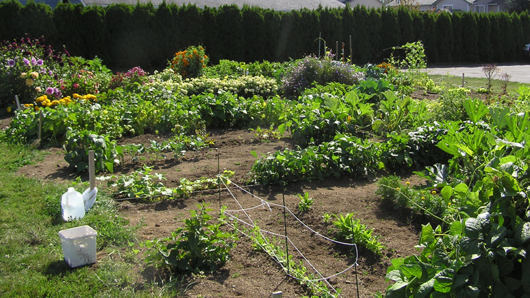 Ξεκινούν οι αιτήσεις για λαχανόκηπους στο Ωραιόκαστρο Θεσσαλονίκης