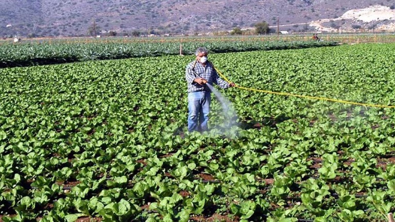 Αποσύρθηκε η ρύθμιση για τα φυτοφάρμακα με ενδεικτική ημερομηνία λήξης