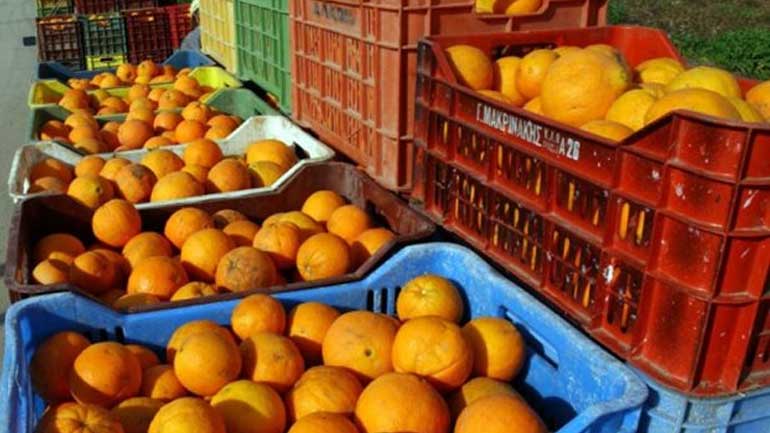 Δέσμευση δύο τόνων πορτοκαλιών χωρίς σήμανση στον Πειραιά