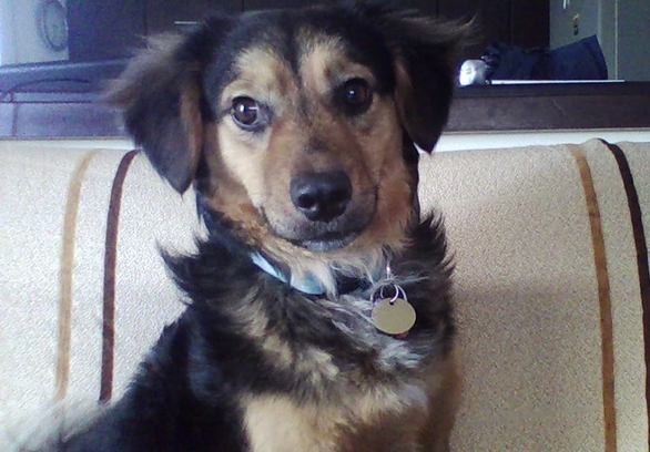 Ο Νικόλας και αυτός παιδί της αυλής της Άρσις-Κοζάνης. Υιοθετήθηκε από την Έρη