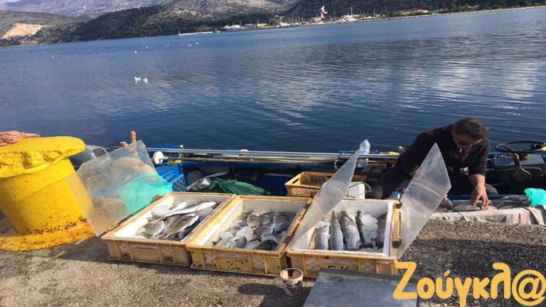 Καλη ψαριά στο Αργοστόλι