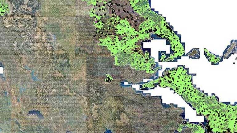 Μαγνησία: Χάθηκε το 4,7% των δασών από τις καλλιέργειες