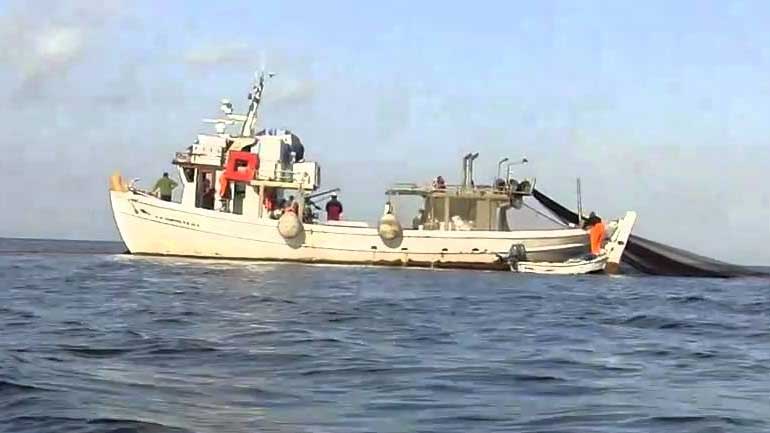 Ηράκλειο: Ψαράδες έσωσαν τη ζωή σε λουόμενη