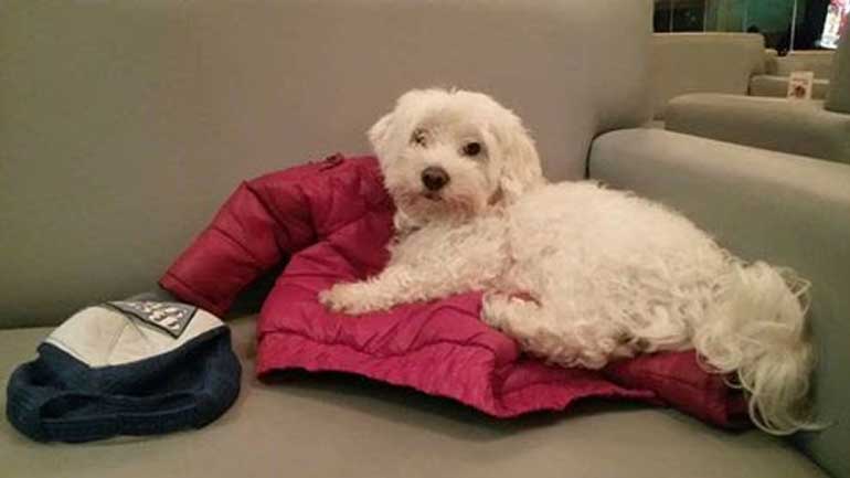 Χάθηκε ο Ρούλης στο Πολύγωνο