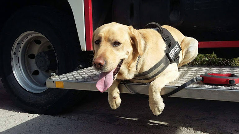 Ακόμη μία επιτυχής διάσωση από τον MAX!