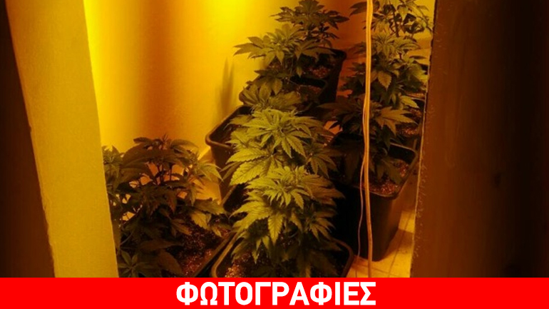 Δουλειές με… φούντες για εφοριακό στο Ηράκλειο