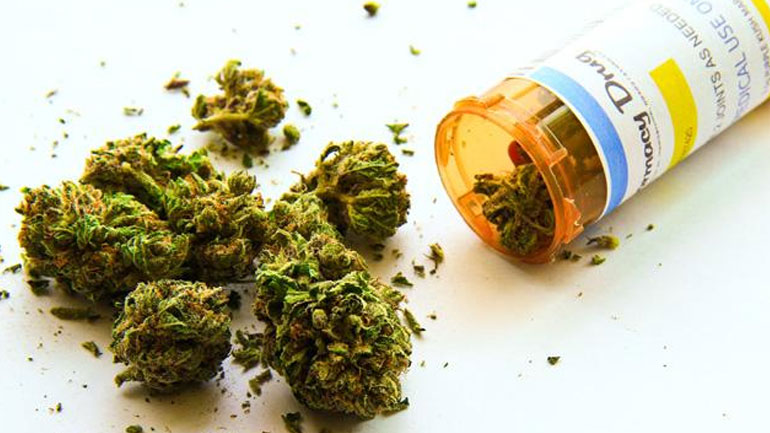 Yπ. Υγείας: Ναι στην ιατρική χρήση κάνναβης