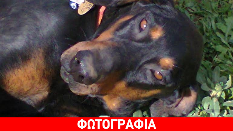 Βριλήσσια: Ο Άρης επιστρέφει στον δρόμο…