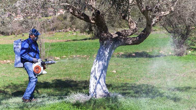 Στον… αέρα εφέτος το πρόγραμμα δακοκτονίας