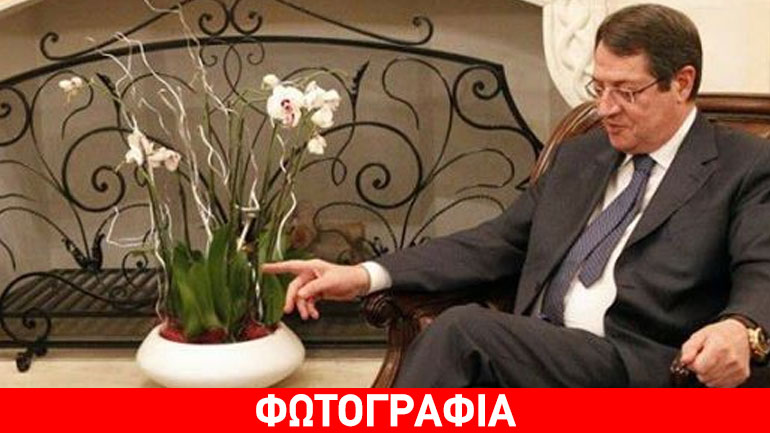 Ν. Αναστασιάδης: «Έχασα τον αγαπημένο μου Λίο» Ν. Αναστασιάδης: «Έχασα τον αγαπημένο μου Λίο»