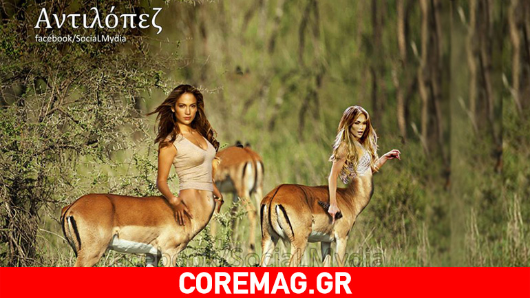 Οι πιο αστείες φωτογραφίες της 8ης εβδομάδας του 2017